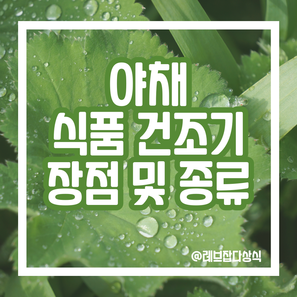 자연야채유통 이미지