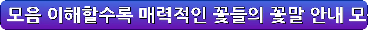예쁜 꽃말 추천 모음 이해할수록 매력적인 꽃들의 꽃말 안내 모음_13
