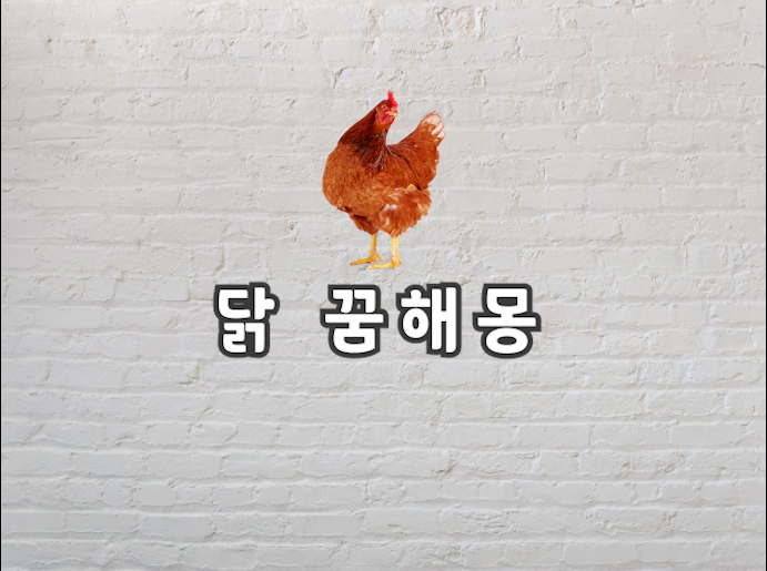  닭 꿈해몽 닭 꿈을 꿨다면 그건 바로 이런 의미입니다!
