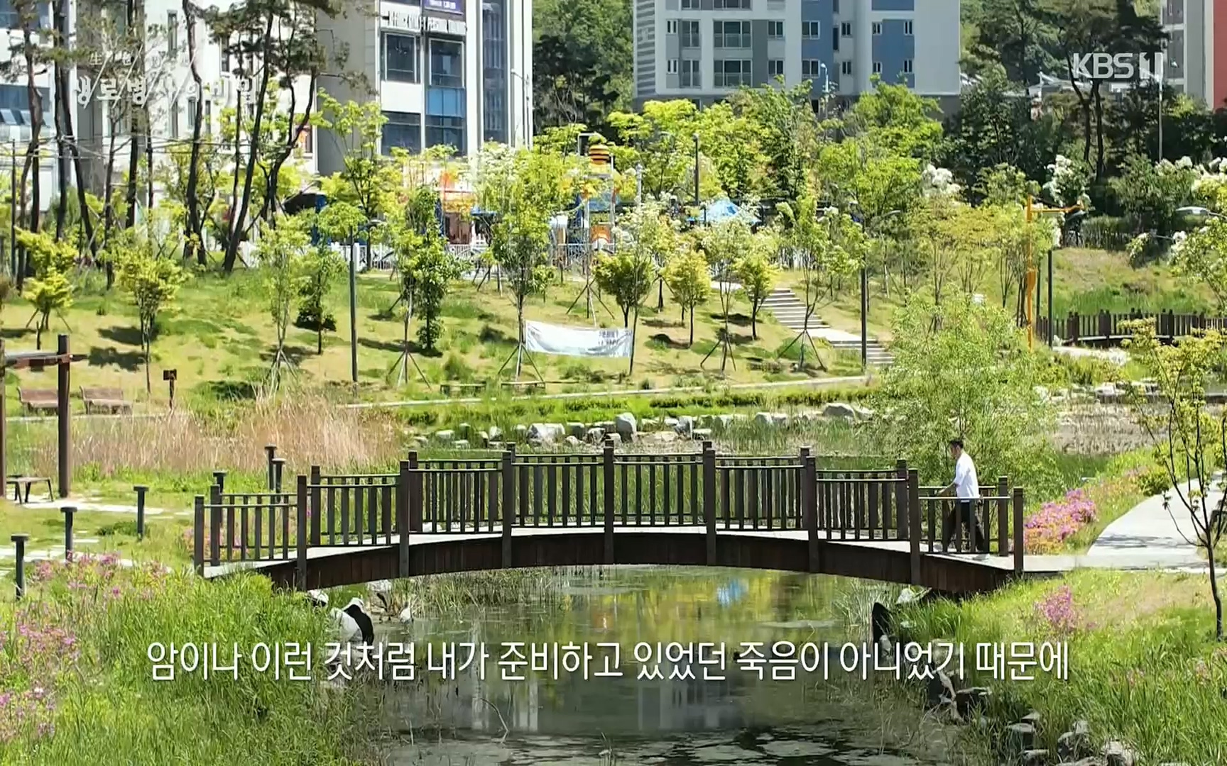생로병사의 비밀.E826.220713p.H264-F1RST.mp4_20220714_183058.905.jpg
