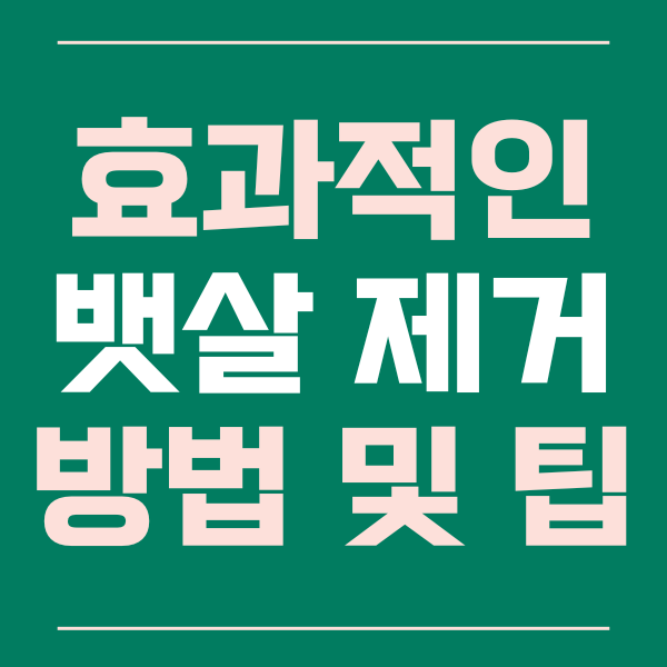  효과적인 뱃살 제거 방법과 팁들