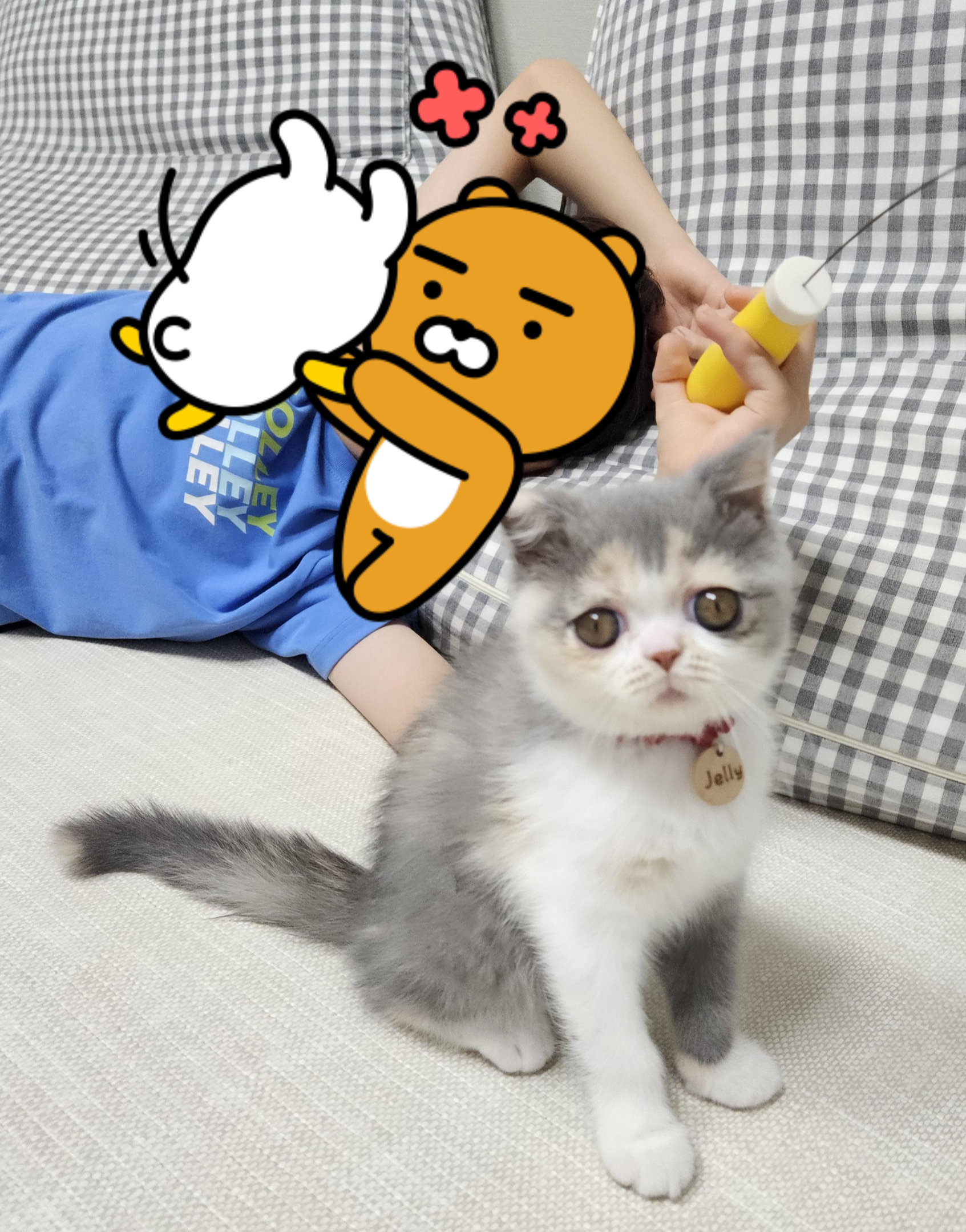엑조틱 고양이
엑죠틱 고양이
이그죠틱고양이
엑조틱고양이
엑죠틱고양이
고양이일상
고양이병원
고양이잠자기
고양이유튜브