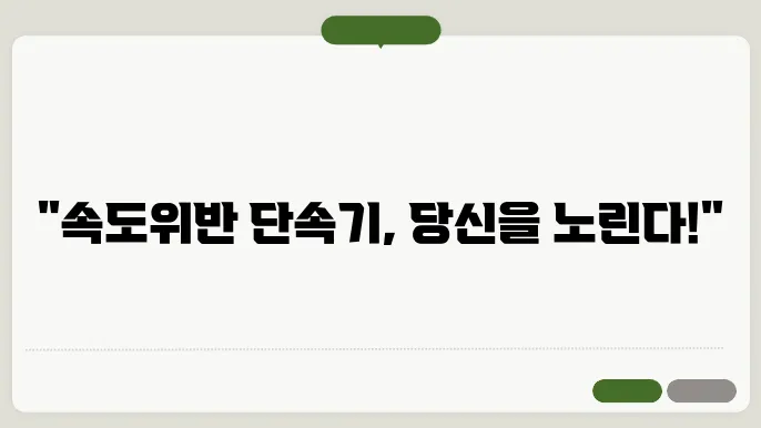 단속기 설치 위치