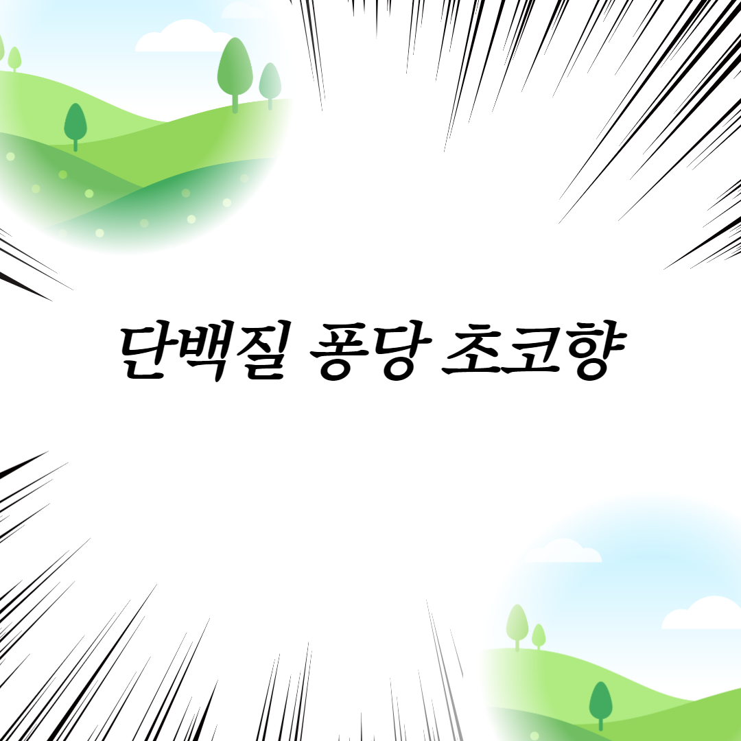  단백질 퐁당 초코향