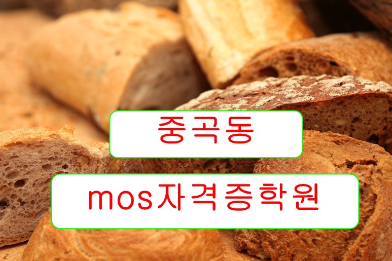 컴퓨터 자격증 시작(잠실) 중곡동 mos 자격증 학원에서 3