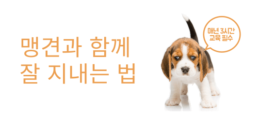  맹견 과 같이 하시는 분들은 꼭 알아두셔야 합니다. ㅇ