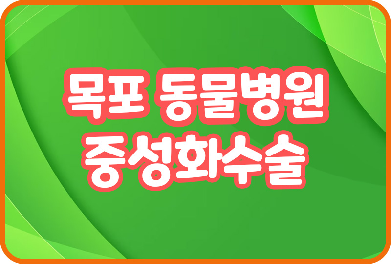  목포 동물병원 추천 강아지 슬개골수술 눈병 치석제거 건강검진 애견미용