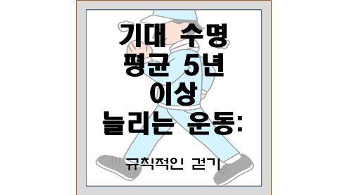 기대-수명-평균-5년-이상-늘리는-운동