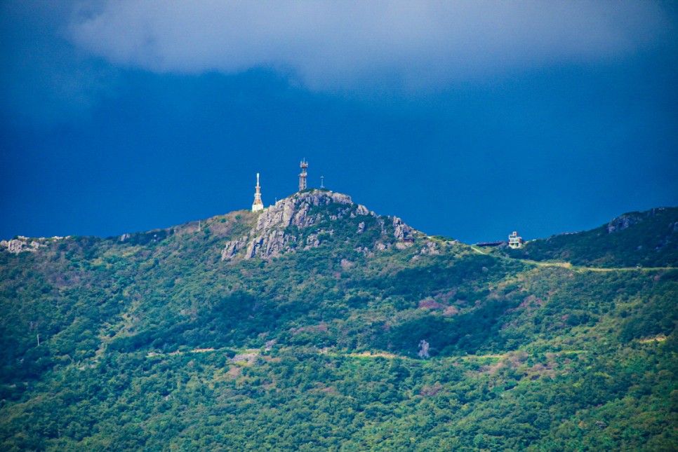 거제 오수마을 갈대밭 가을이 찾아온 13