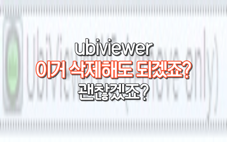  ubiviewer 이건 뭐죠.. 삭제해도되겠죠?