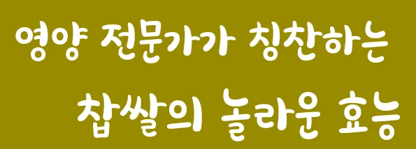 영양 전문가가 칭찬하는 찹쌀의 놀라운 효능