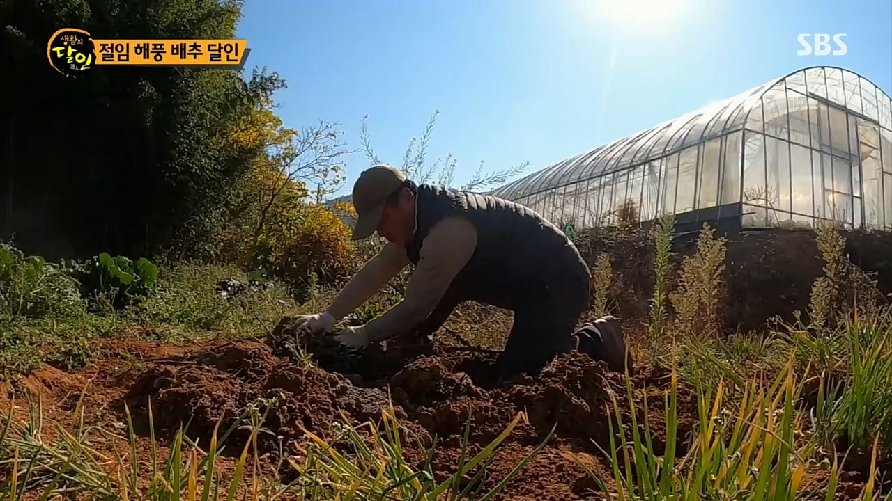 생활의 달인.E868.221213p.H264-F1RST.mp4_20221213_194324.023.jpg