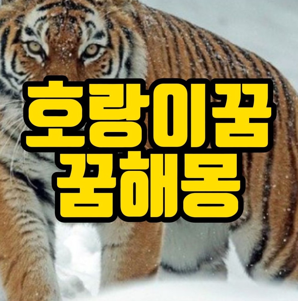  [꿈해몽] 호랑이꿈 관련 거의 모든 꿈풀이 40선