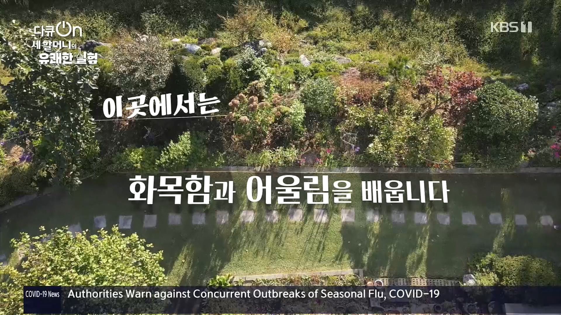 다큐 On.E166.221028p.H264-F1RST.mp4_20221031_193926.268.jpg