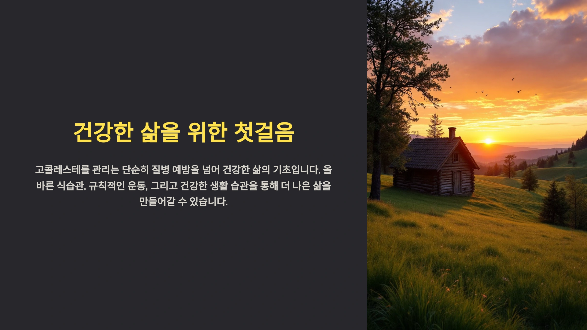 고콜레스테롤의 위험성