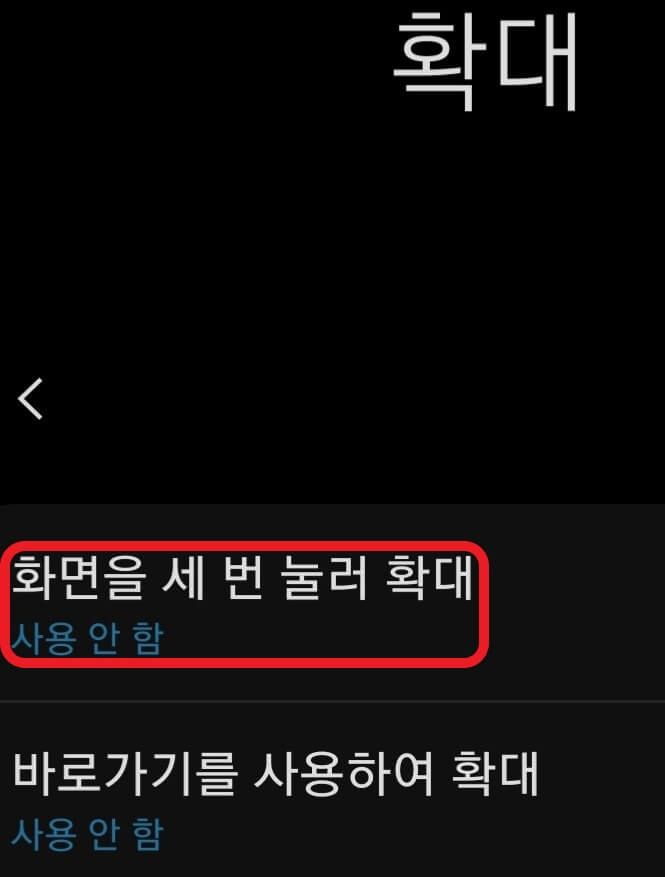 스마트폰 화면 확대 기능