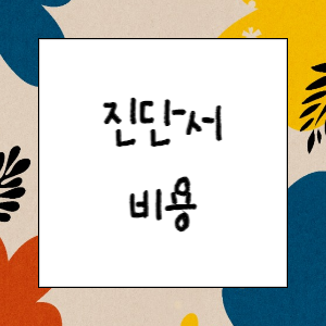 제증명수수료(진단서 등 서류) 비용