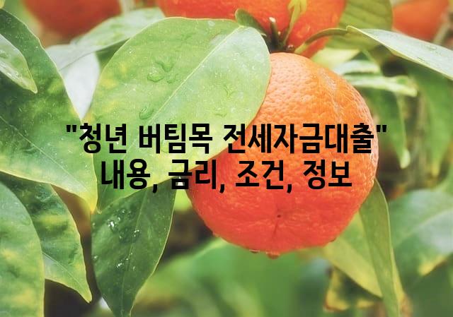 랜덤171