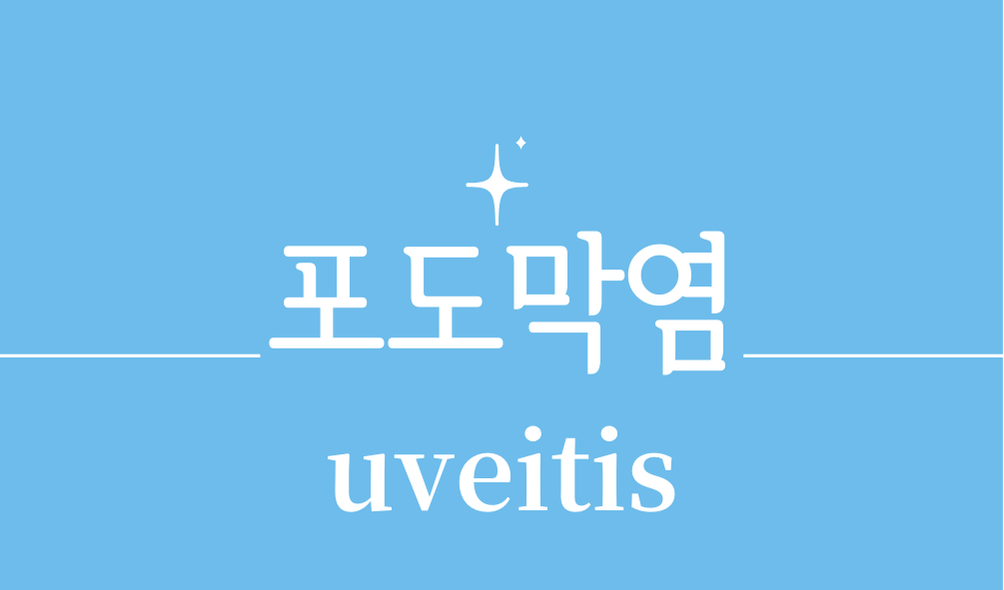 '포도막염(uveitis)'