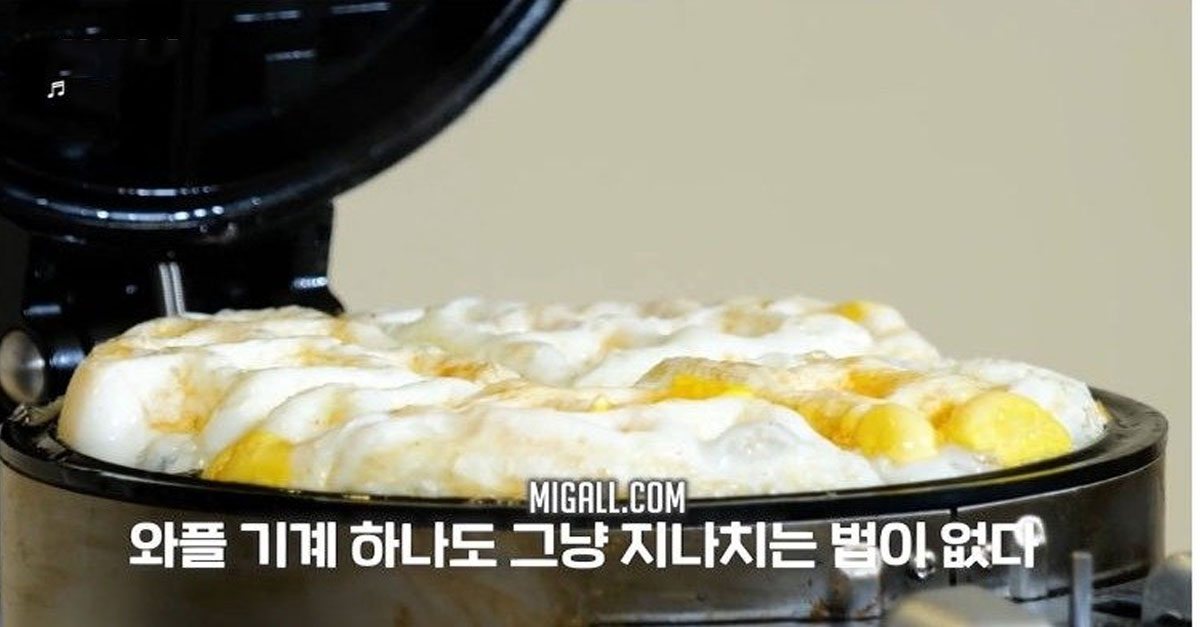  벨기에 사람들도 놀란 한국인의 와플 기계 응용력 ㅋㅋㅋ