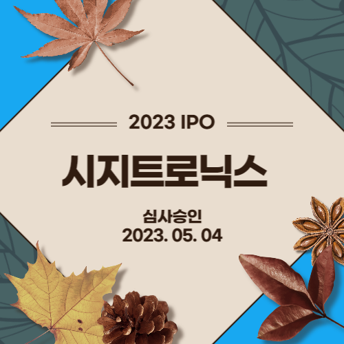  [2023년 IPO] 시지트로닉스(SIGETRONICS, INC)