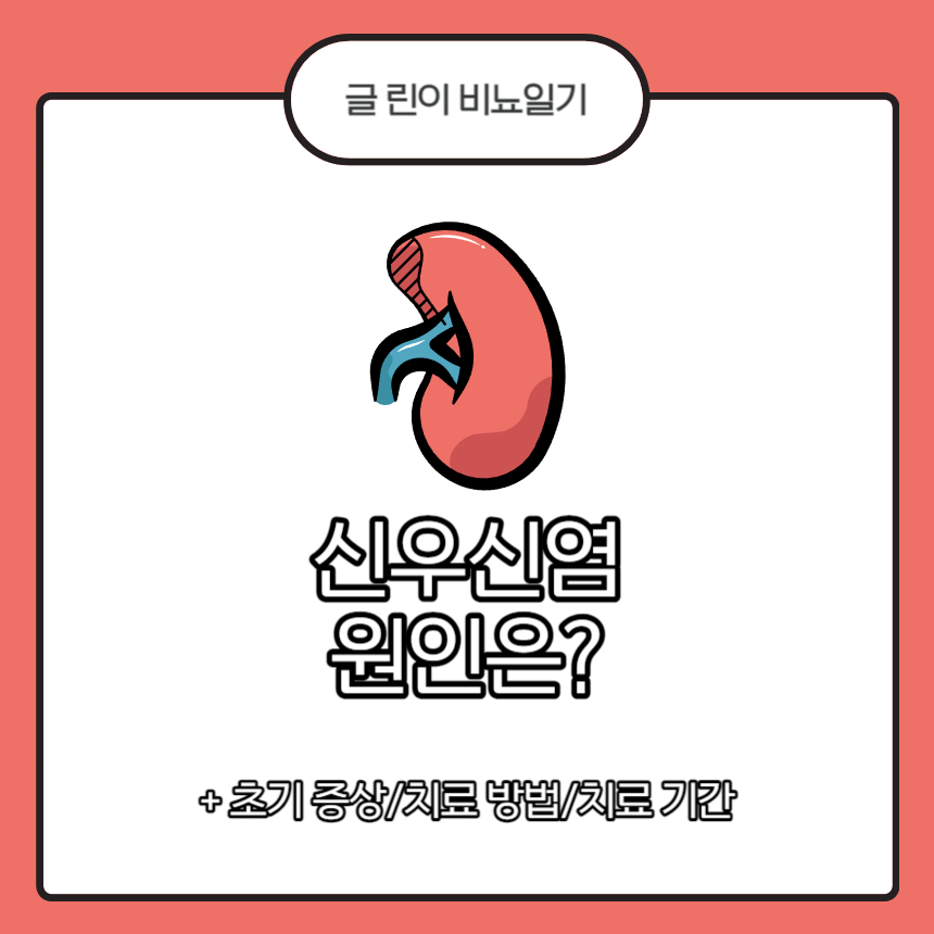  신우신염 원인은?