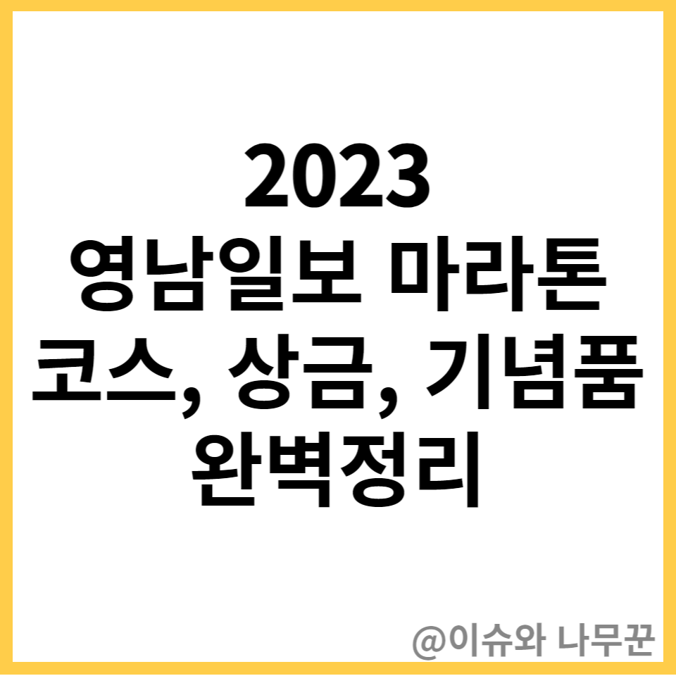 2023년 영남일보 마라톤 총정리