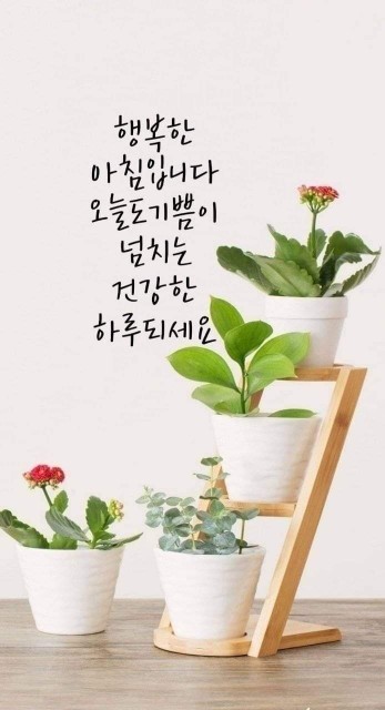  오늘의 좋은글 283번째 오늘이 4월의 가장 특별한 4월의 마지막 날로 만드시기 바랍니다