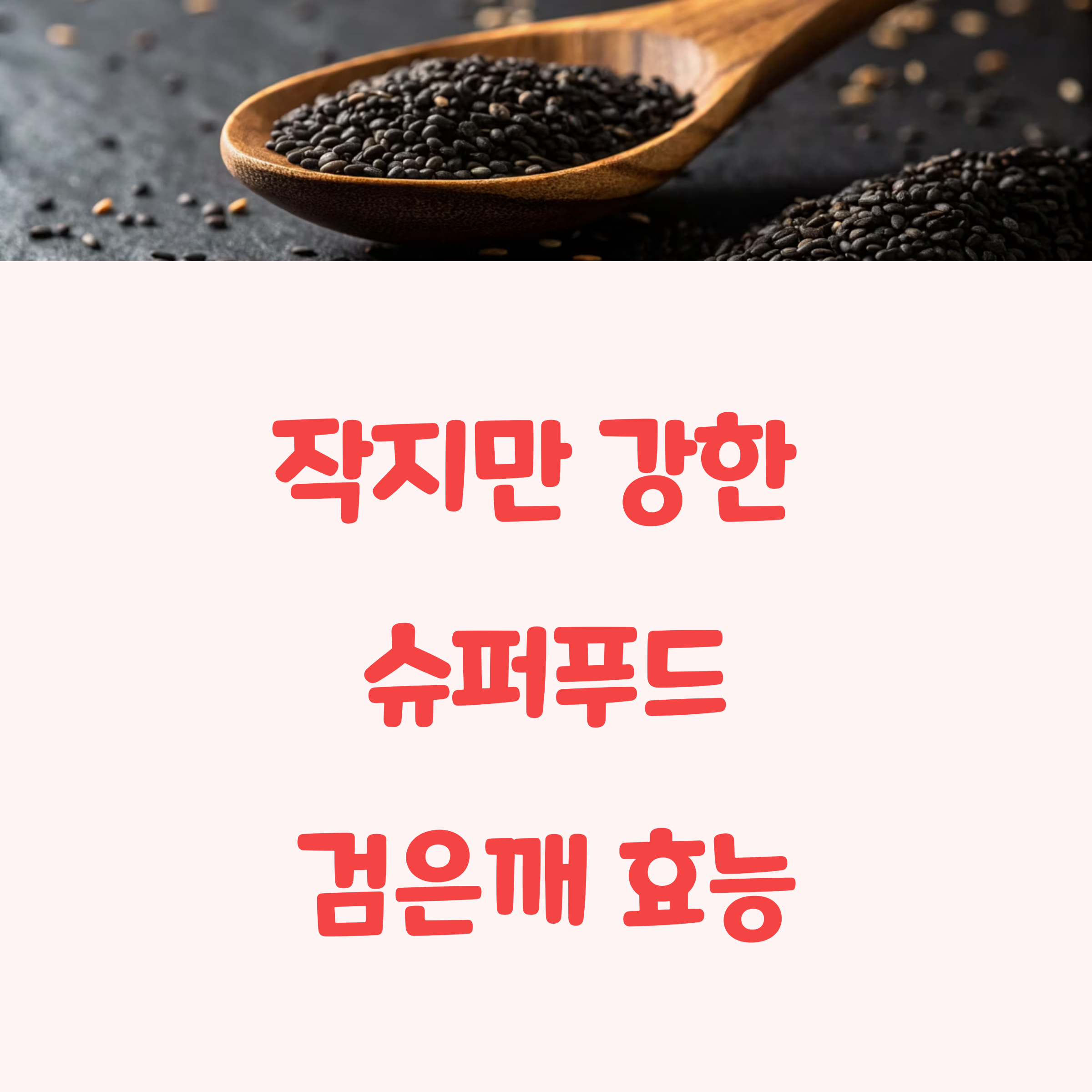 검은깨의 효능 하루 권장 섭취량과 주의사항