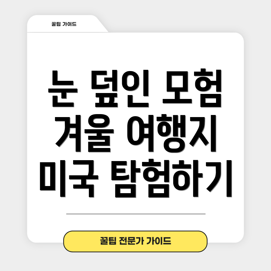 눈 덮인 미국