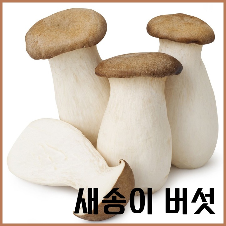 새송이버섯