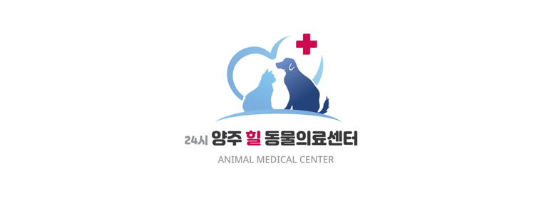 양주시 동물병원