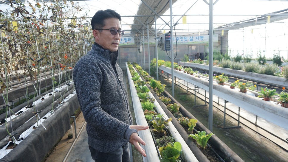 스마트팜 더불어 사는 세상, 정성을 2