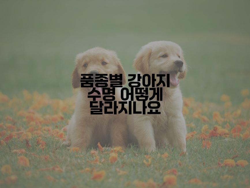 품종별 강아지 수명 어떻게 달라지나요