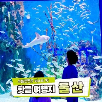 울산 가볼만한곳 베스트10 현지인 추천 필수코스_7