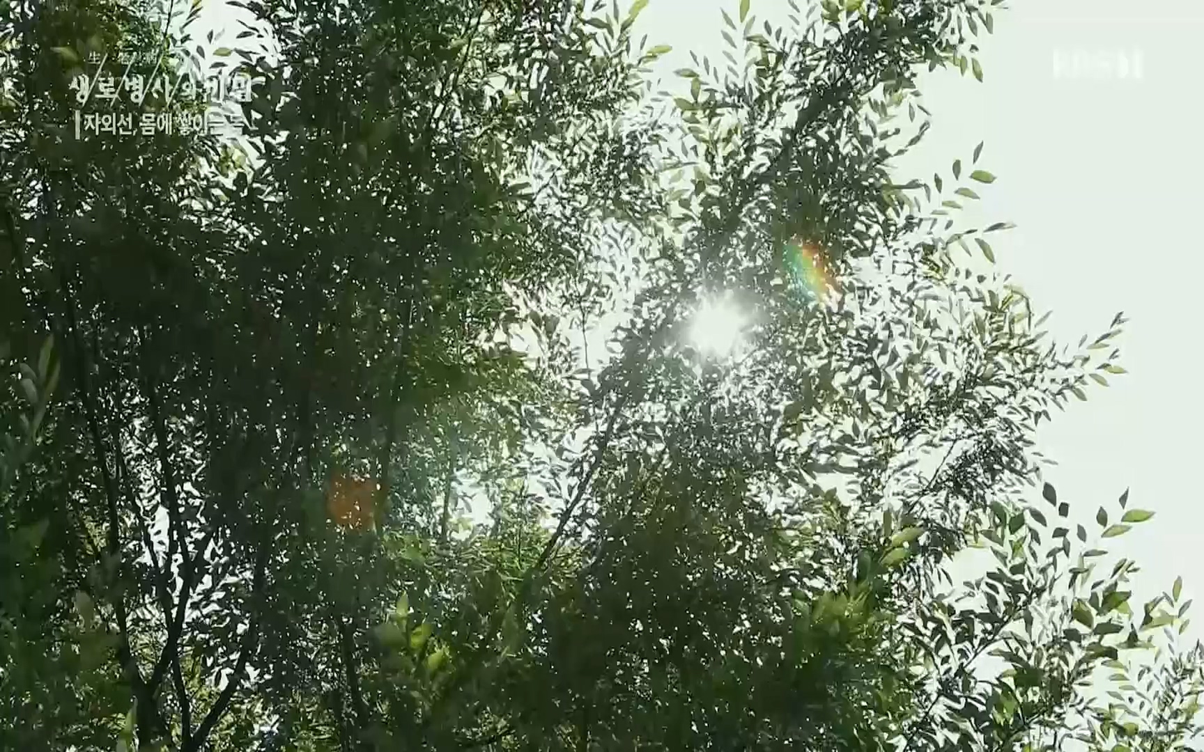 생로병사의 비밀.E824.220629p.H264-F1RST.mp4_20220630_205915.417.jpg
