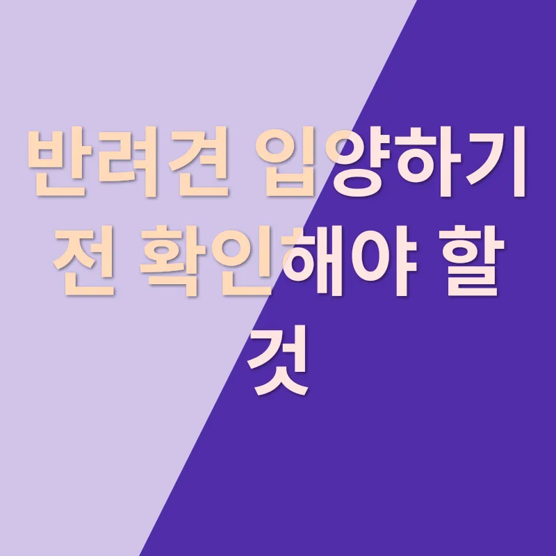 반려견 입양_1