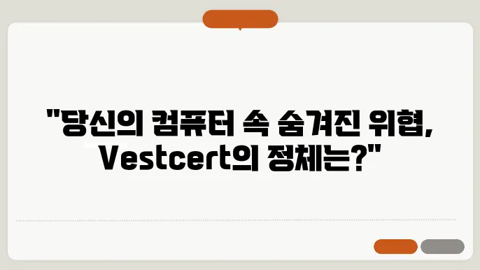 vestcert 정체와 컴퓨터에 미치는 영향
