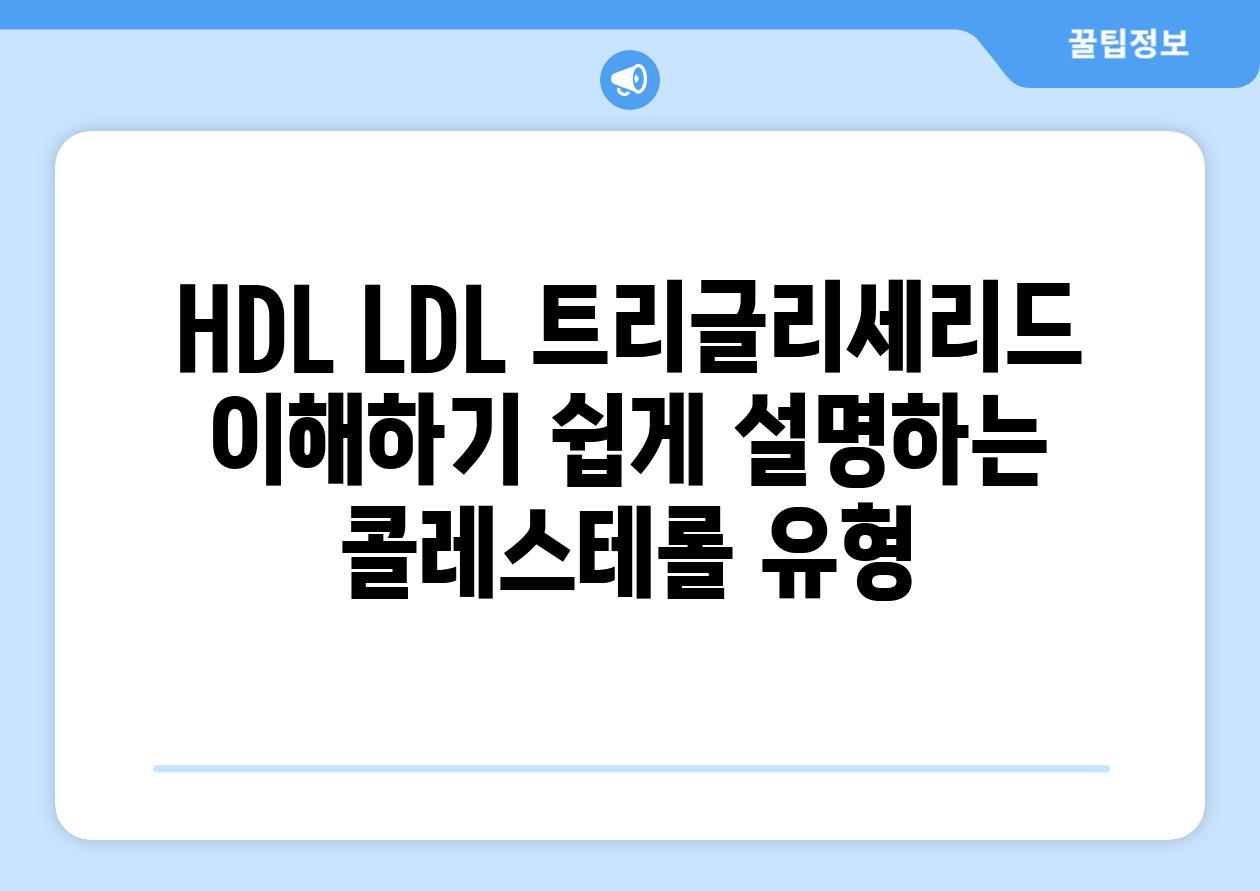 HDL LDL 트리글리세리드 이해하기 쉽게 설명하는 콜레스테롤 유형