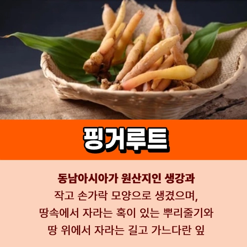 핑거루트