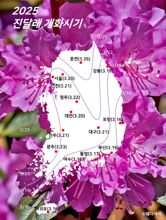 개화 이미지