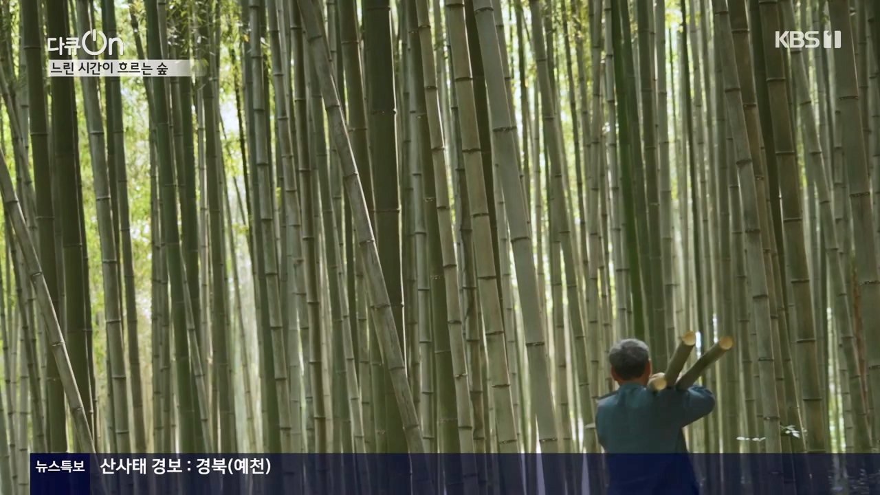 다큐 온.E206.230723p-NEXT.mp4_20230724_214220.733.jpg