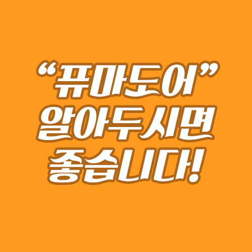  사람이라는 게 어떻게 될지 모르니 퓨마도어를 알고 계셔야 합니다