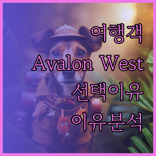 왜 많은 여행객들이 Avalon We