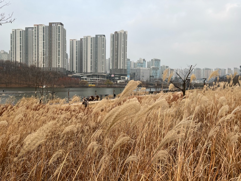 동탄호수공원