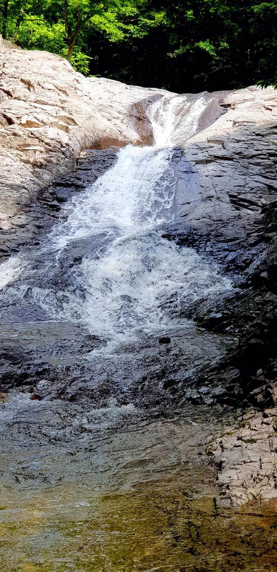 포항 동대산