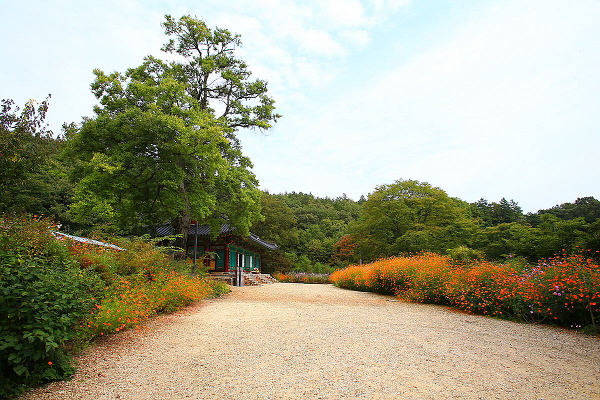 천안 은석사