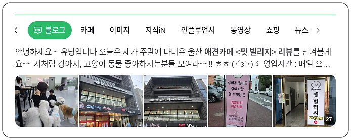 애견카페 펫빌리지 리뷰_1_subsection