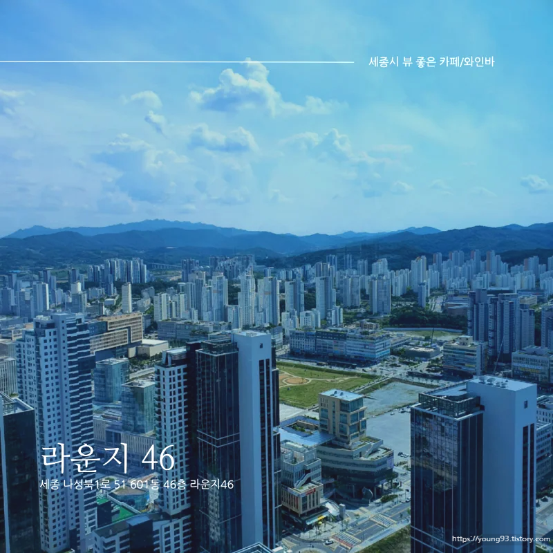  [세종시 나성동 전망 좋은 카페/와인바 추천] 라운지 46