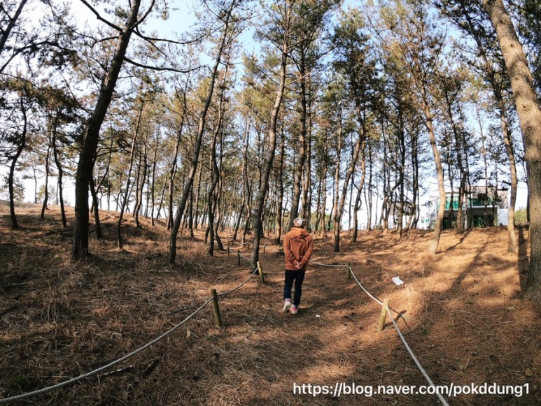 엘도라도 이미지